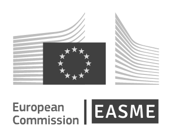 EUROPEAN COMMISSION
